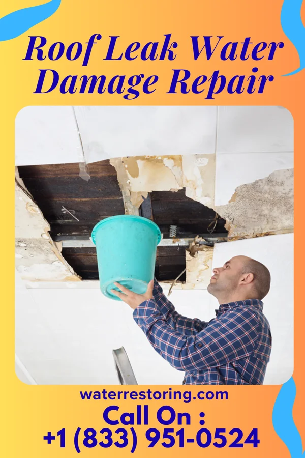 Roof Leak Water Damage Repair in Wood, SD